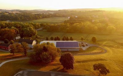 Vente de terrain agricole : quelle est la reglementation a suivre ?